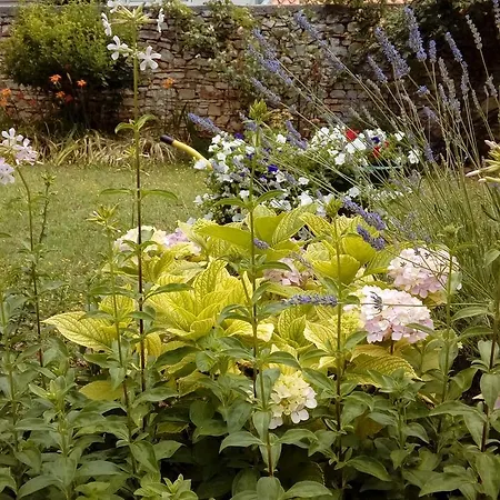 게스트하우스 Ket